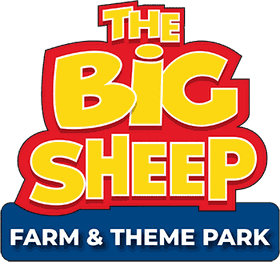 The Big Sheep, Farm and Theme Park